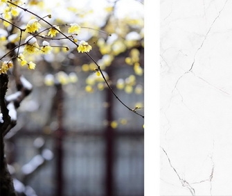 蕾丝视频下载污鑒賞丨耐人尋味的美感，總是“瓷”簡意賅