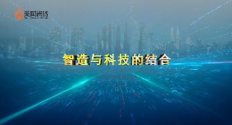 蕾丝视频官网企業實力篇